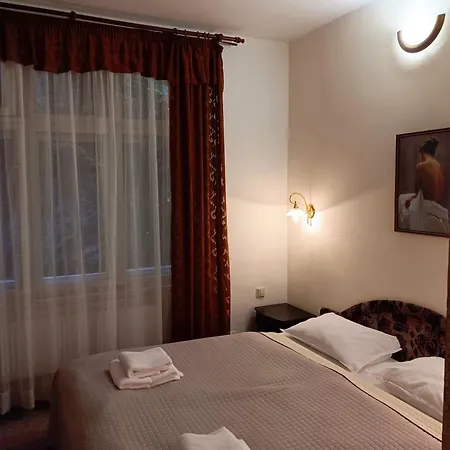 Hotel Zlaty Sloup Karlovy Vary