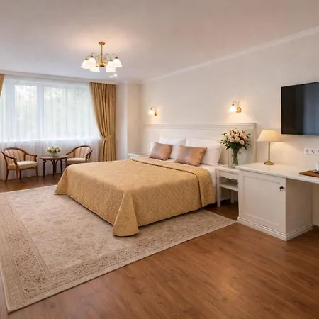 Hotel Zlaty Sloup 3*