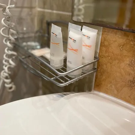 兹拉特斯洛普酒店 3*